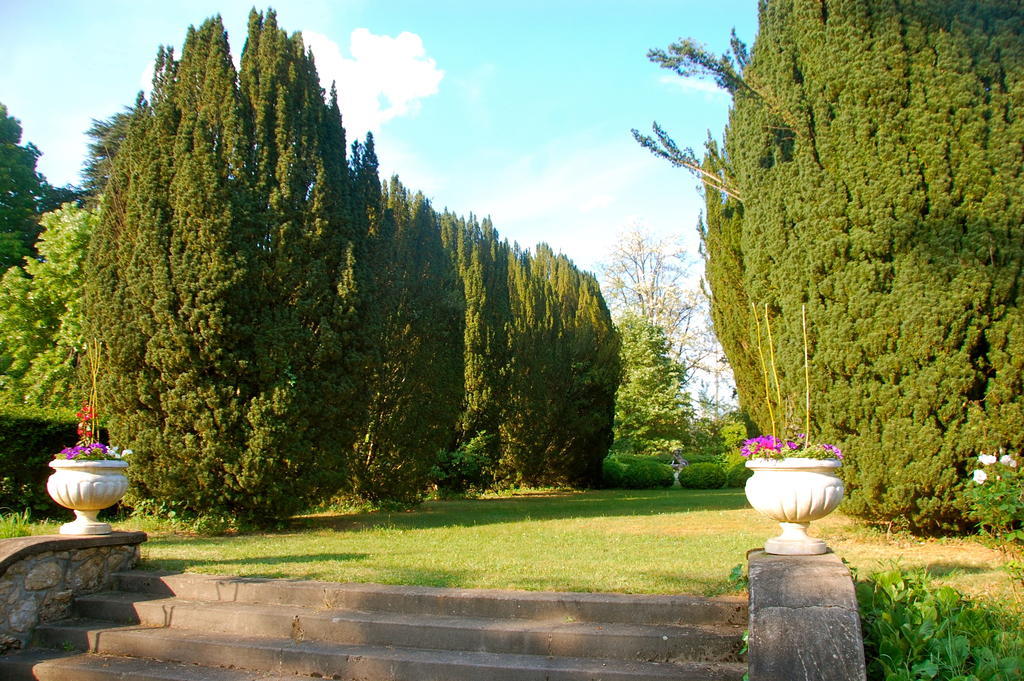 Domaine Le Peyrou Bed & Breakfast Luzech Ngoại thất bức ảnh