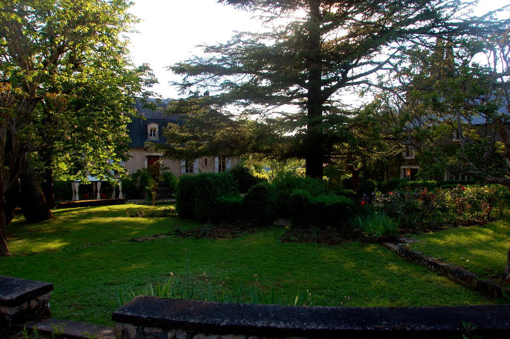 Domaine Le Peyrou Bed & Breakfast Luzech Ngoại thất bức ảnh