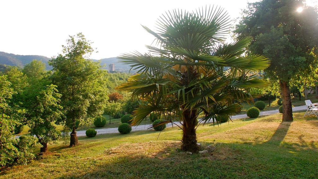 Domaine Le Peyrou Bed & Breakfast Luzech Ngoại thất bức ảnh